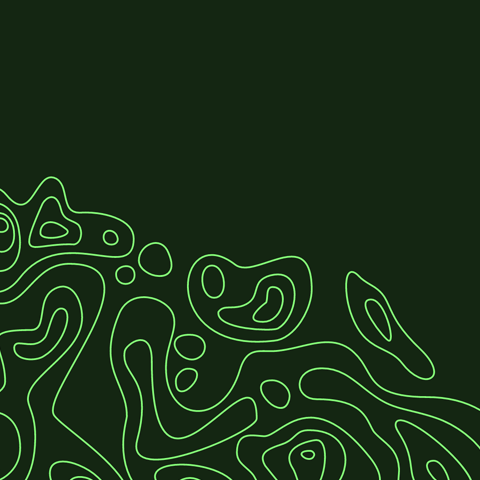 green outlined organic shapes